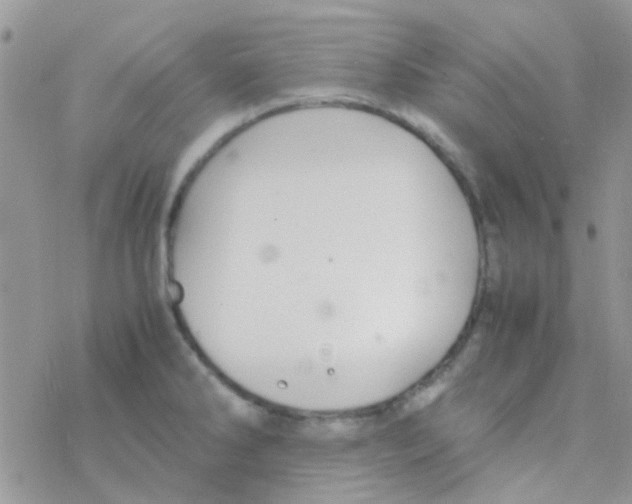 X0000077361286200611171914