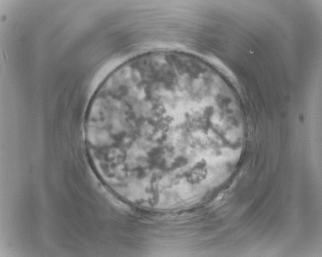 X0000077361287200611171914