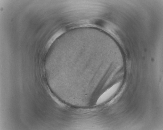 X0000077361289200611171914