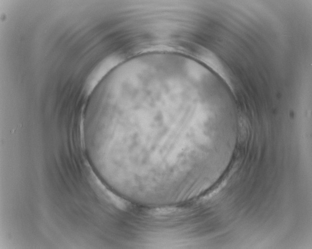 X0000077361290200611171914