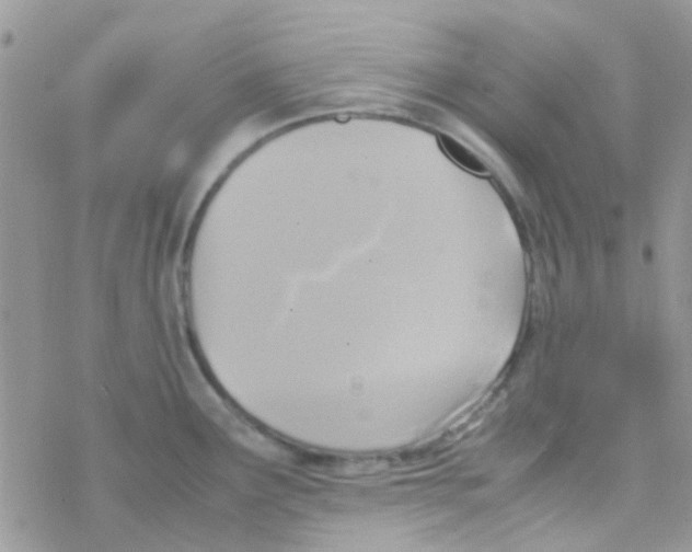 X0000077361291200611171914