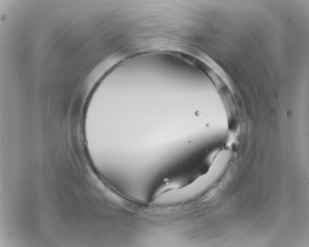 X0000077361293200611171914