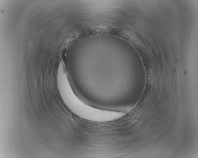 X0000077361298200611171913