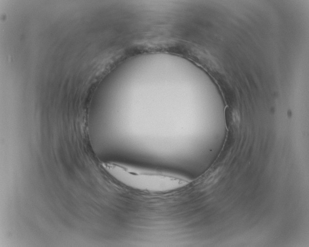 X0000077361300200611171913