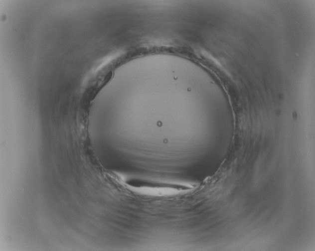 X0000077361303200611171913