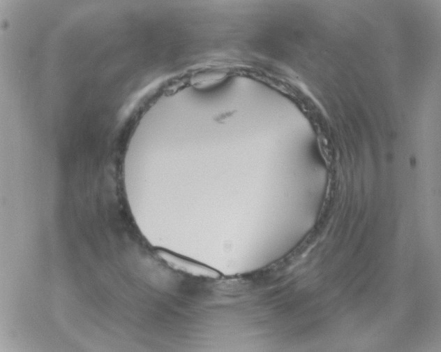 X0000077361304200611171913