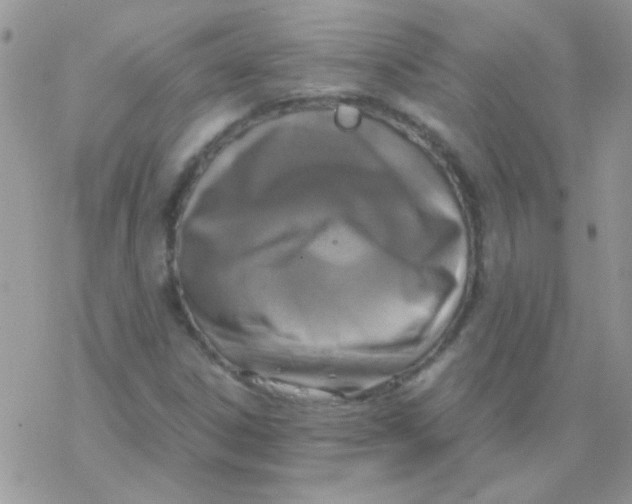 X0000077361306200611171913