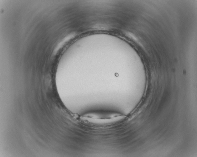 X0000077361307200611171913