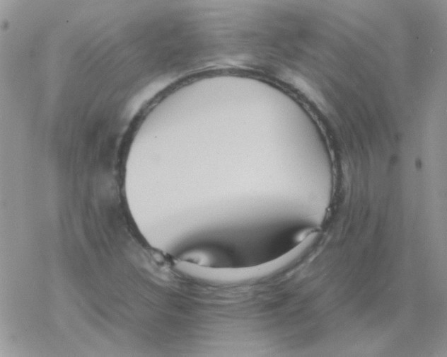 X0000077361308200611171913