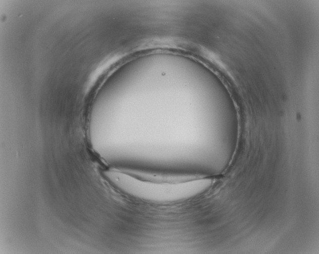 X0000077361312200611171913