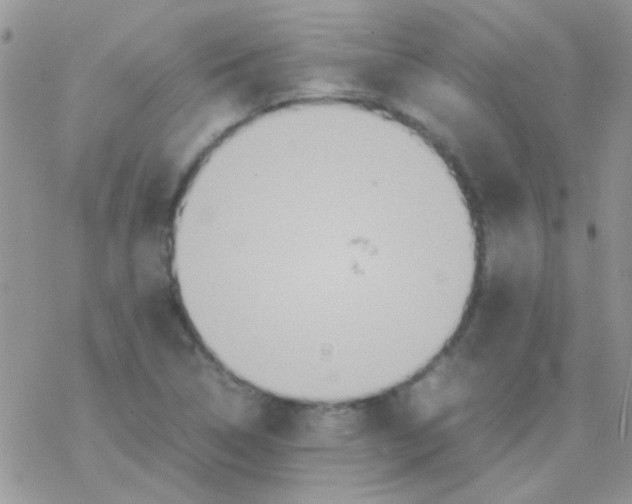 X0000077361314200611171913