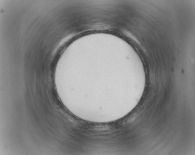 X0000077361315200611171913