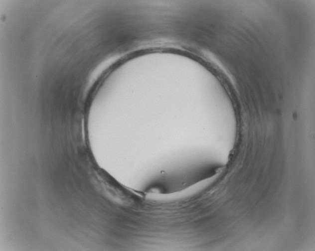 X0000077361320200611171913