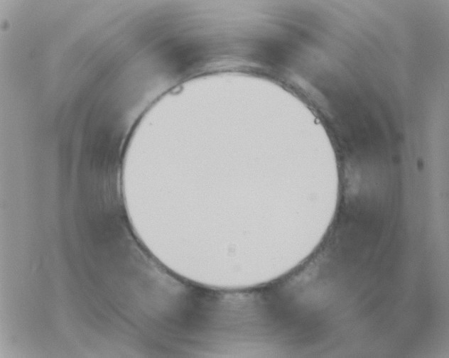 X0000077361322200611171913