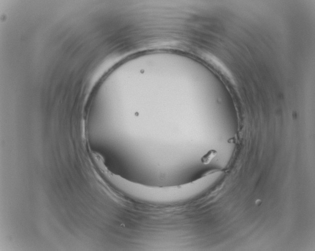 X0000077361324200611171913