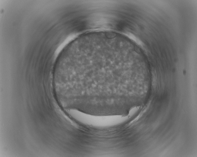 X0000077361325200611171913