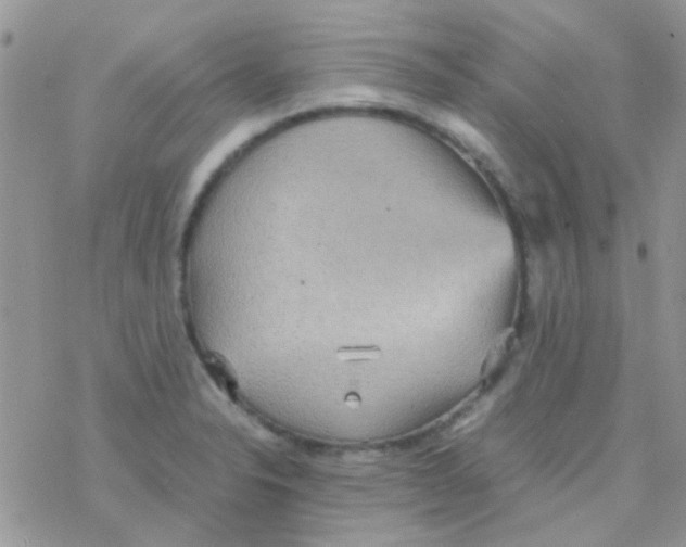 X0000077361326200611171913