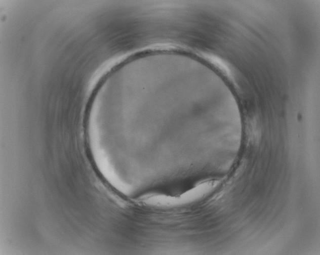 X0000077361327200611171913