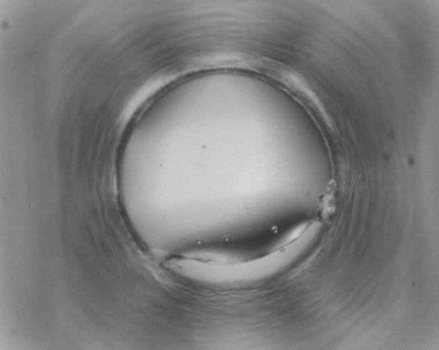 X0000077361328200611171913