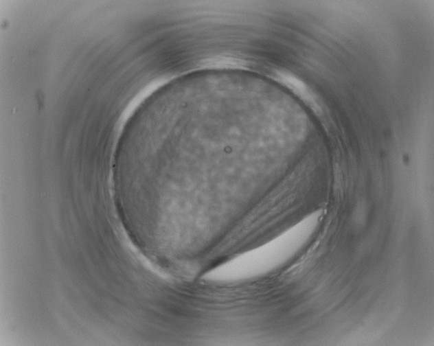 X0000077361331200611171913