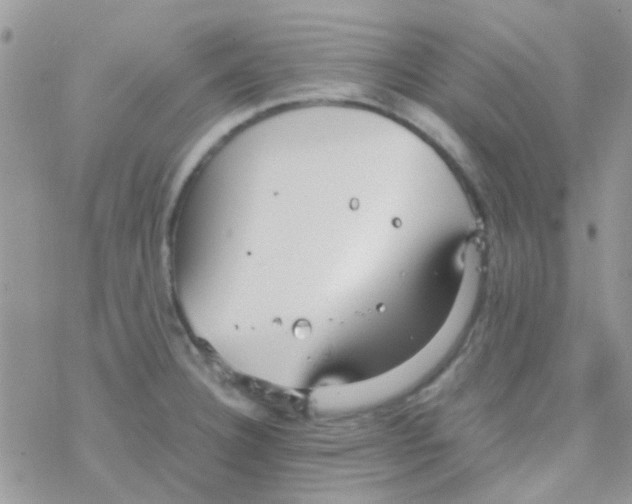 X0000077361332200611171913