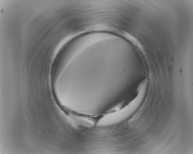 X0000077361334200611171913