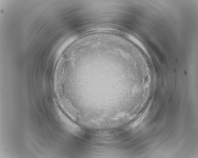 X0000077361338200611171914