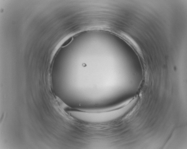 X0000077361340200611171914