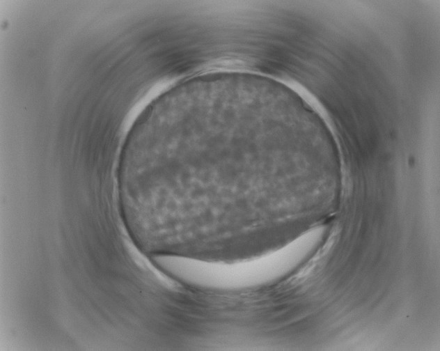 X0000077361341200611171914