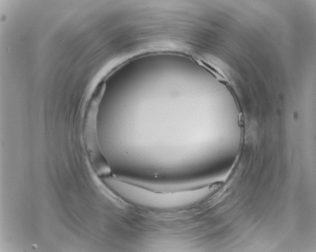 X0000077361342200611171914