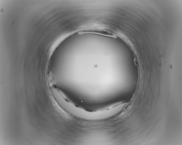 X0000077361344200611171914