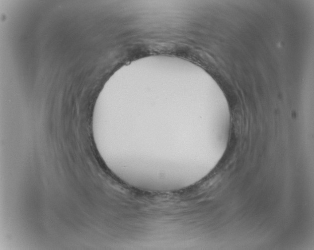 X0000077361345200611171913