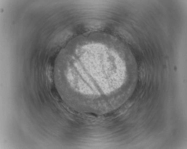 X0000077361346200611171913