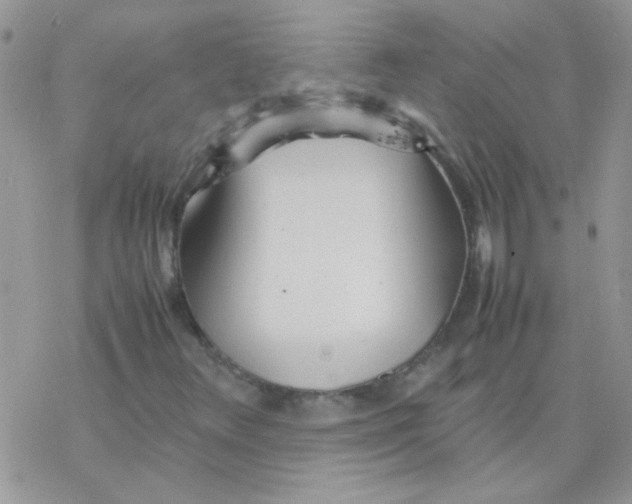 X0000077361348200611171913