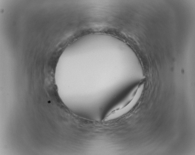 X0000077361349200611171913