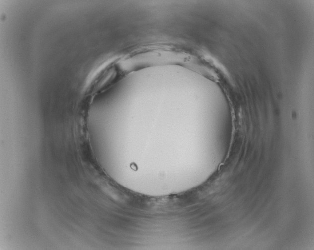 X0000077361352200611171913