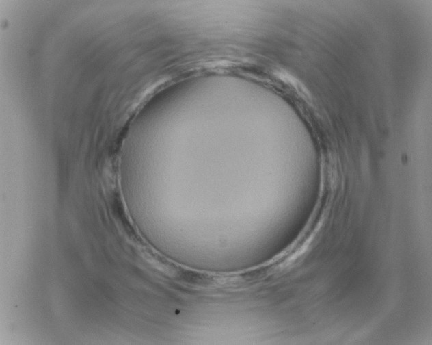 X0000077361353200611171913