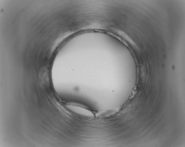 X0000077361356200611171913