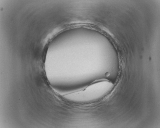 X0000077361357200611171913