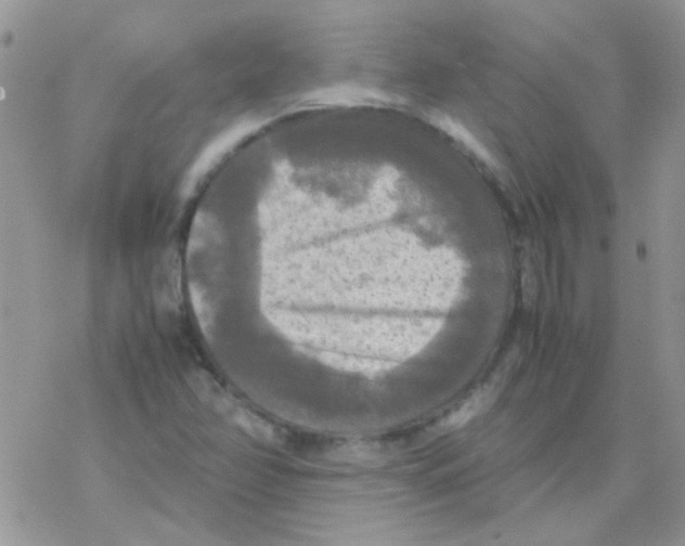 X0000077361358200611171913