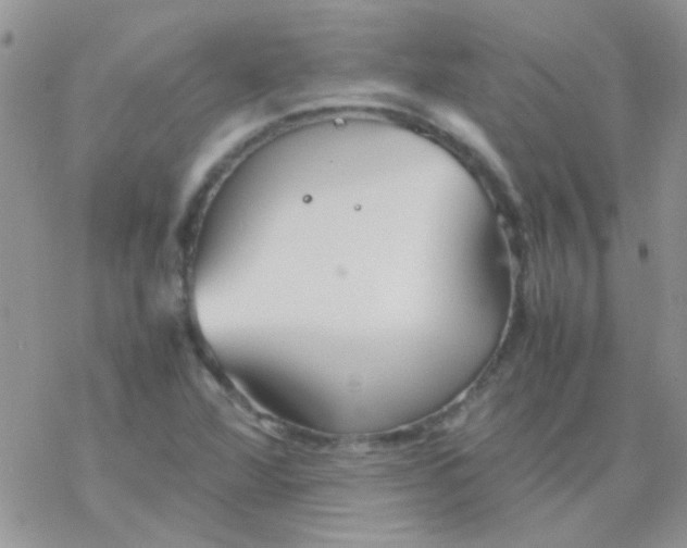 X0000077361360200611171913