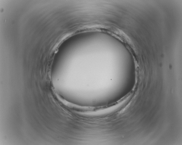 X0000077361361200611171913