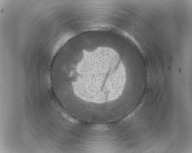 X0000077361362200611171913