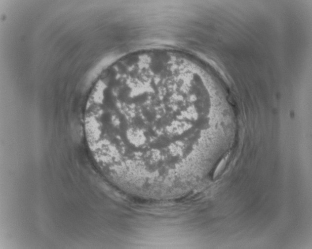 X0000077361363200611171913