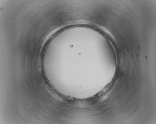 X0000077361364200611171913