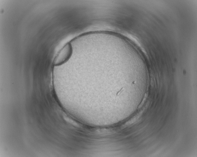 X0000077361366200611171912