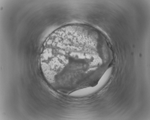 X0000077361367200611171912