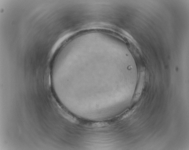 X0000077361368200611171912