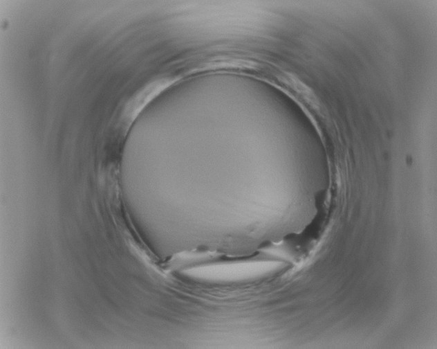 X0000077361369200611171912