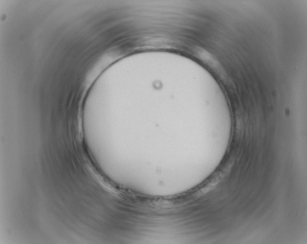 X0000077361370200611171912